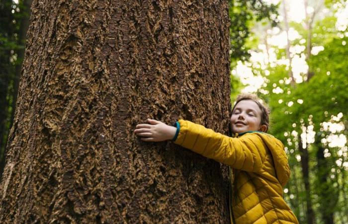 ¿Por qué necesitamos desarrollar nuestra empatía con la naturaleza?