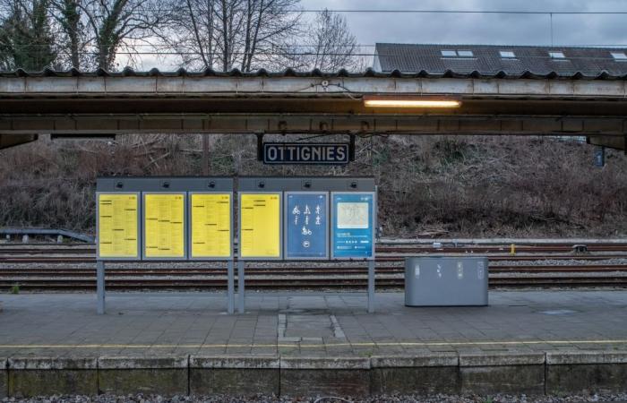 No hay tren entre Ottignies y Gembloux hasta el domingo: ¿por qué?