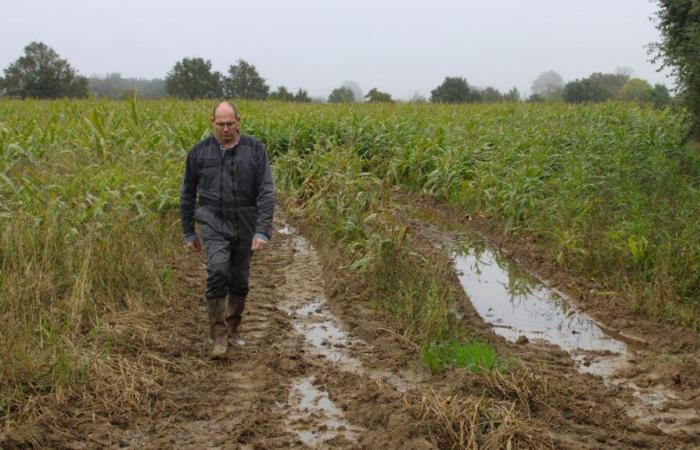 un año 2024 “catastrófico” para los agricultores