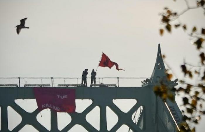 Bloqueo del puente Jacques-Cartier: liberado el último activista detenido