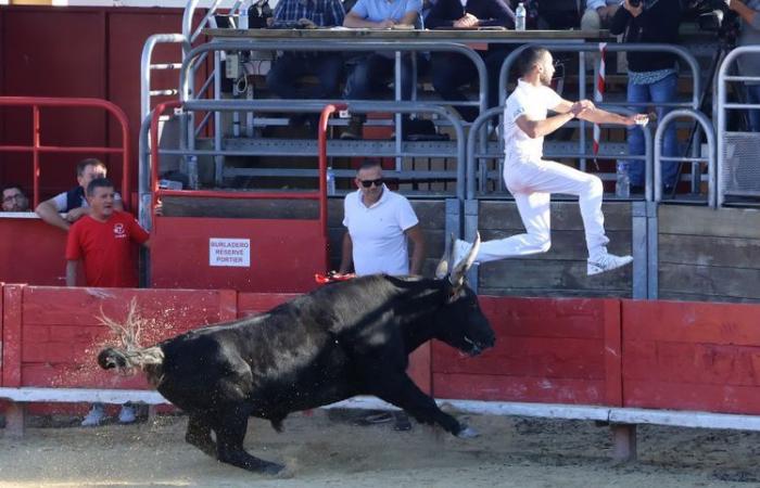 Vendargues: un silbante de primer nivel en la final del Main d’Or