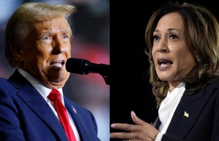 Harris dice que el abuso verbal de Trump lo ‘descalifica’ para la Casa Blanca