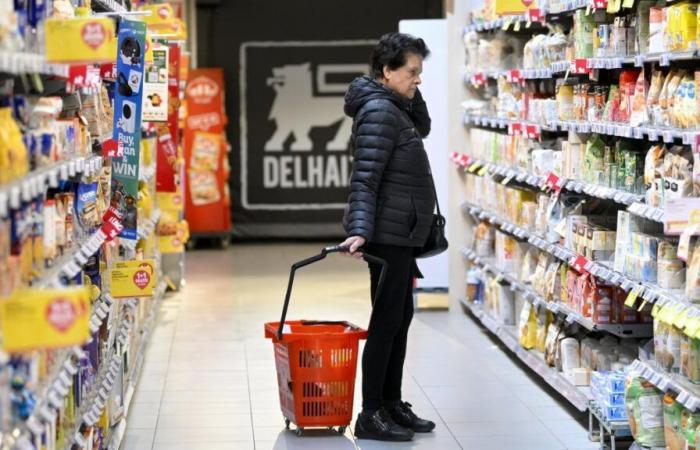 Delhaize, Carrefour, Colruyt… qué abre y qué cierra este 1 de noviembre