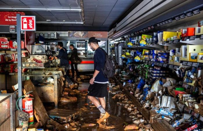 Un amanecer de saqueos, coches flotantes y 12 caballos deshidratados en el polígono comercial de Alfafar | España