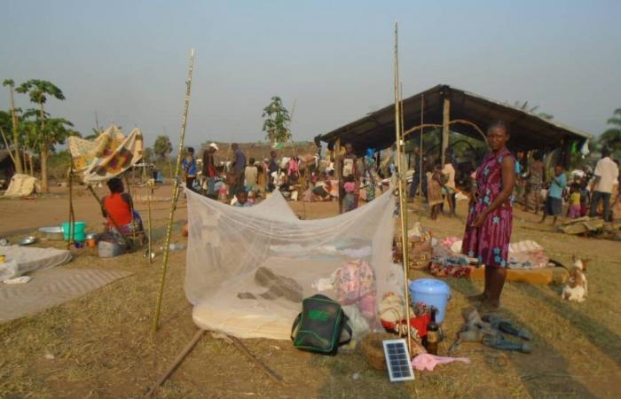 Zongo: más de 5.000 hogares quedaron sin hogar por inundaciones en 2 semanas