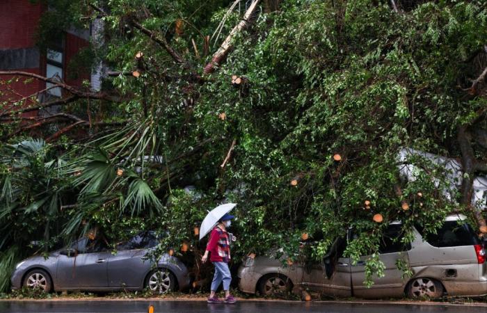 Dos muertos y más de 500 heridos tras el tifón Kong-rey