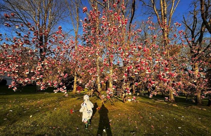 El enorme rancho de Connecticut de Richard Gere y su esposa Alejandra que están dejando atrás