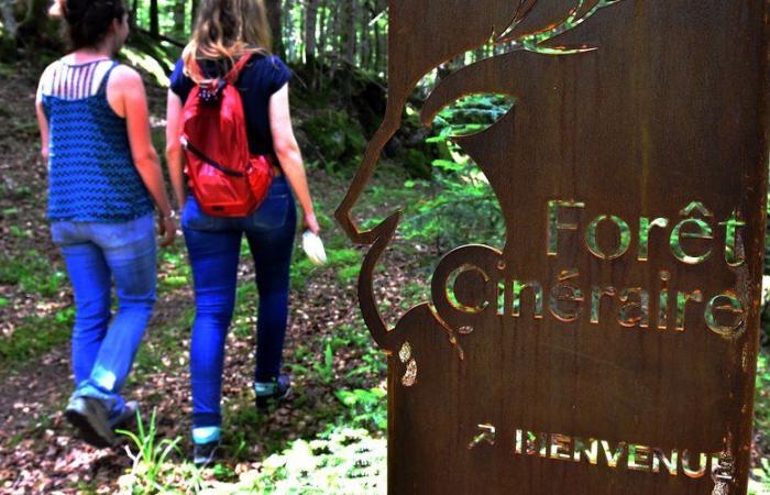 “Había que tener paciencia”: ¿Por qué se suspendió durante 4 años el primer bosque cinerario de Francia, en el sur de Alto Garona?