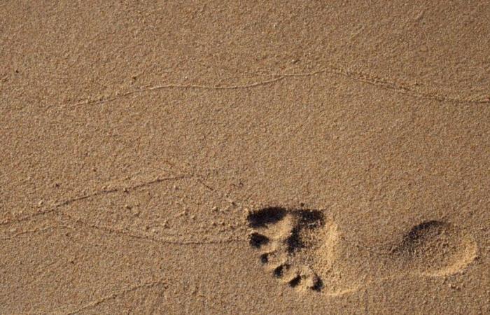 ¿Por qué la arena de la playa a veces es rosada o negra?