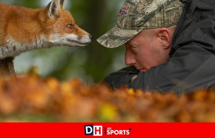 Cara a cara entre Maxime Bachely, fotógrafo de naturaleza de Maubray, y un zorro