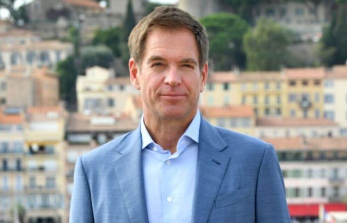 Michael Weatherly (NCIS) recomienda estas tres series poco conocidas en Francia