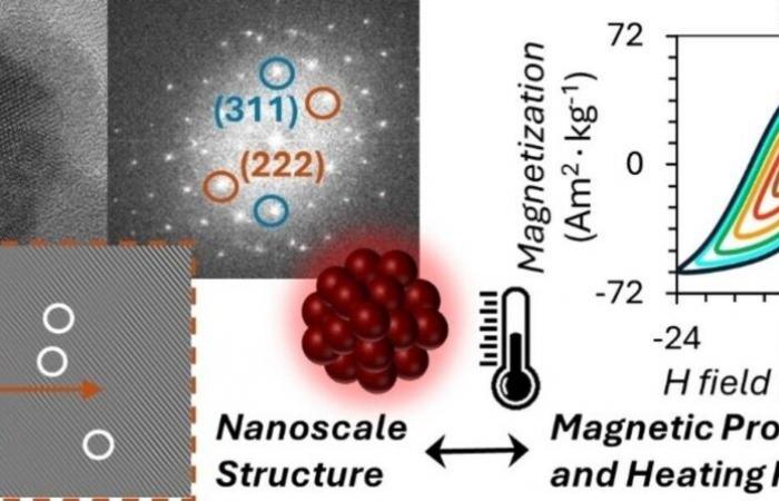 “Nanoflores” para tratar el cáncer