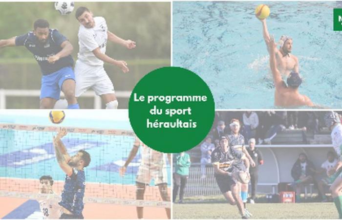 Copa de Francia, fuerza atlética, voleibol… Pregunte por el programa de los clubes de Hérault este fin de semana