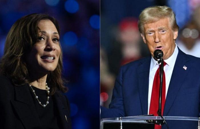 El confuso escenario de un empate perfecto entre Donald Trump y Kamala Harris