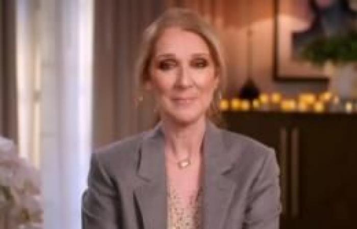 ¿Celine Dion pronto volverá a las tiendas? La diva estaría trabajando en un nuevo proyecto que debería complacer a sus fans franceses.