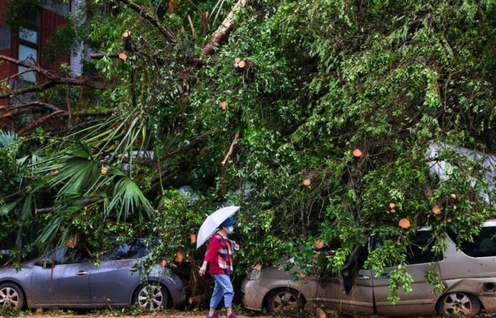 Taiwán: el tifón Kong-rey deja 2 muertos y más de 500 heridos