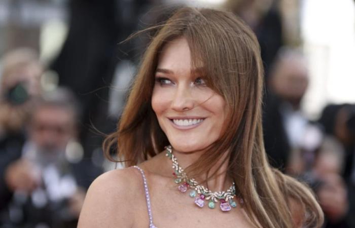 Inmobiliaria estrella: ¡Carla Bruni vende su castillo en Italia! – Immo actual