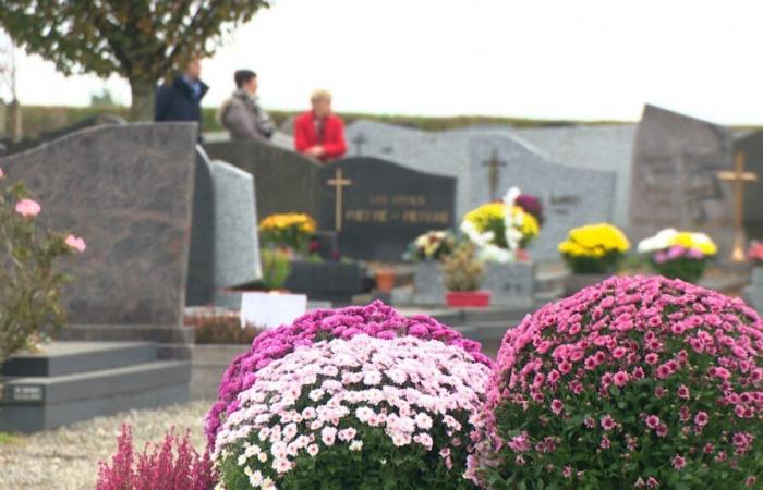 En este Día de Todos los Santos, las aglomeraciones en los cementerios iban en aumento: “Es importante que una familia sepa quién fue quién”