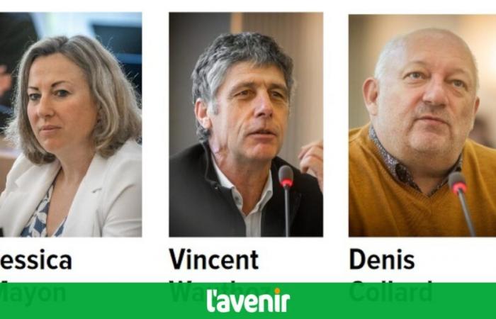 Aquí los 5 candidatos electos de MR para el cargo de diputado provincial