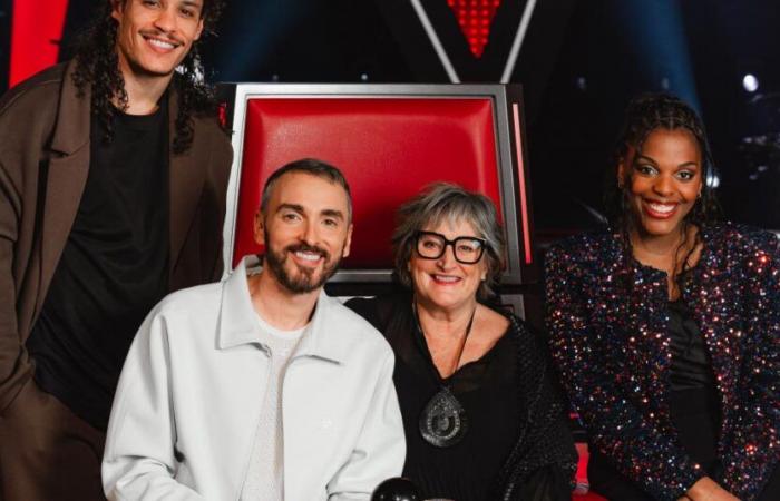 “Para “The Voice”, por ejemplo, cuesta entre 700 y 1.000 euros… ¡por minuto! »