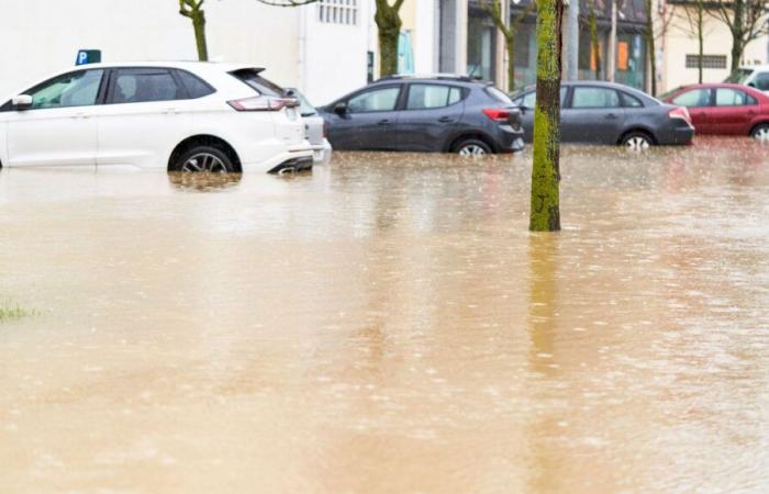 Dramáticas inundaciones en España, el Secours populaire du Territoire de Belfort lanza un llamamiento para donaciones