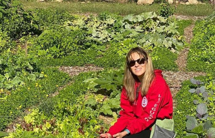 El enorme rancho de Connecticut de Richard Gere y su esposa Alejandra que están dejando atrás