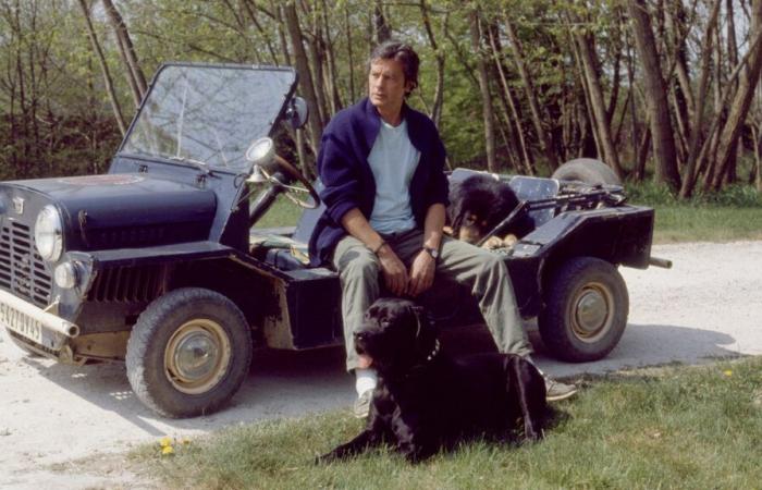 ¿El castillo de Alain Delon en el Loiret se convertirá en museo?