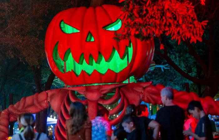 La noche de Halloween en Dublín se vuelve un caos por una mala broma