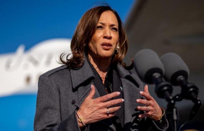 Según Kamala Harris, la violencia verbal de Donald Trump lo “descalifica” para la Casa Blanca