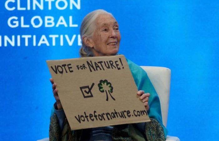 En Côtes-d’Armor, una reserva natural que lleva el nombre de Jane Goodall, icono de la biodiversidad