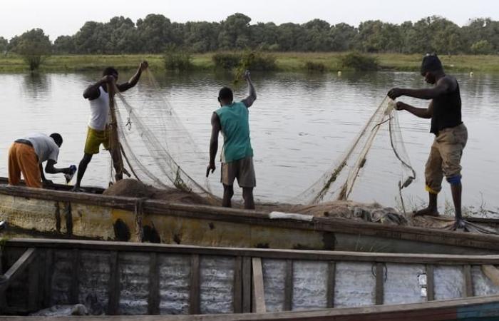 Fuentes locales acusan al ejército chadiano de matar por error a “decenas” de pescadores en Nigeria