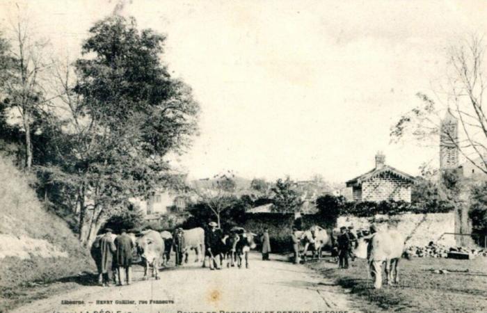 Sumérgete en los orígenes de una de las ferias más importantes de Gironda