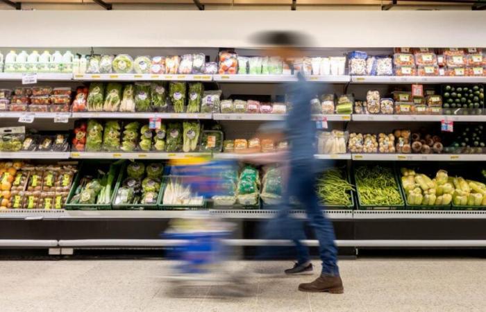 Aquí están las tiendas abiertas en Mons-Borinage durante este día festivo.