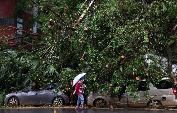 Vientos de 184 km/h y lluvias torrenciales: dos muertos y más de 500 heridos tras el paso del tifón Kong-rey por Taiwán