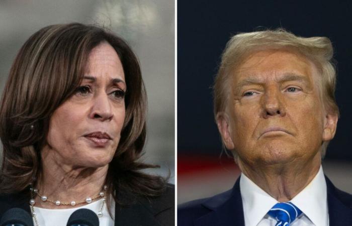 Sprint final para Harris y Trump a cuatro días de las elecciones presidenciales