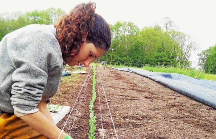 “El precio injusto de nuestros alimentos”: una investigación presentada este miércoles en Run Ar Puñs, en Châteaulin