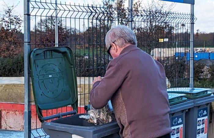 una colección de conchas en siete centros de reciclaje