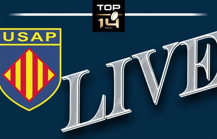 DIRECTO. Top 14: USAP-Vannes, duelo de mal clasificados, partido que se seguirá en directo a las 16:30 horas.