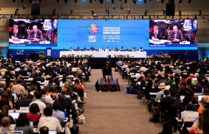 COP16 biodiversidad termina en Cali, fracaso de negociaciones sobre financiamiento