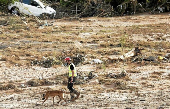 Inundaciones en España: continúa la búsqueda de cadáveres con nuevos refuerzos [Vidéo]