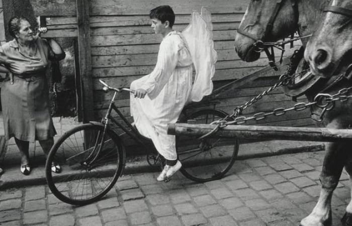 La fotografía se cuenta en tres libros para descubrir absolutamente.