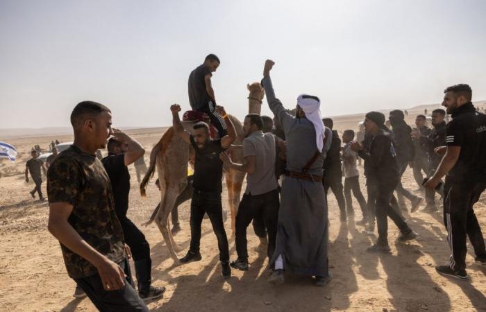 La primera carrera de camellos oficialmente autorizada en Israel atrae multitudes