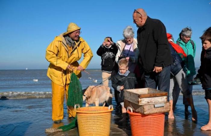 “¡Este es el último lugar en el mundo donde hacemos esto!” ” (video)