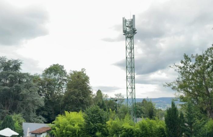 un colectivo se opone a la instalación de una antena 5G en Vert