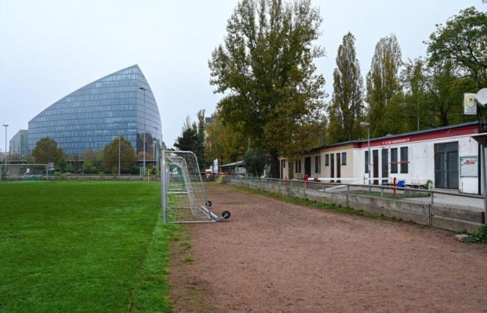 Mainwasen para la renovación del ferrocarril: los clubes de Frankfurt deben mudarse