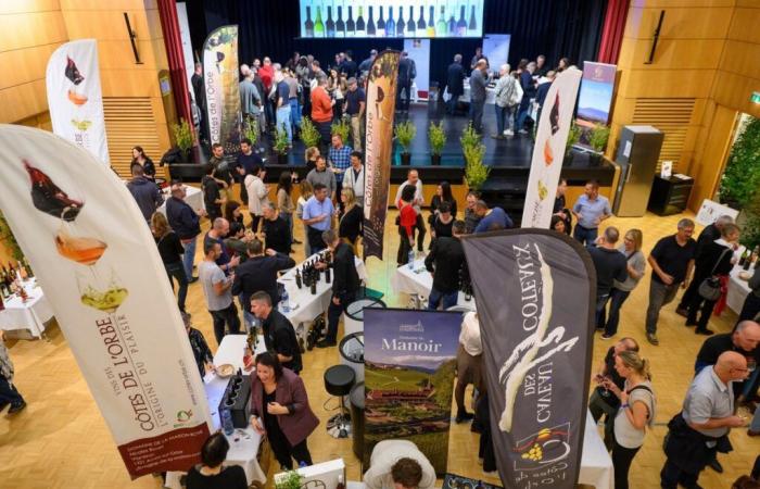 Pie del Jura: feria del vino Côtes de l’Orbe