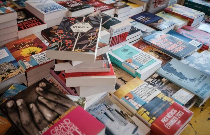 Mazarine Pingeot, Sally Rooney, Gérard de Cortanze, Pascale Dietrich… La selección de libros de “Sud Ouest”