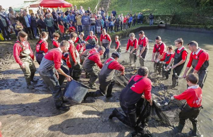 en Saint-Maigrin, un estanque vacío y pescado muy fresco para pescar