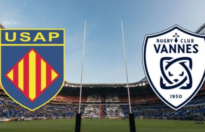 Vannes: ¿en qué canal y a qué hora ver en directo el partido del TOP 14?