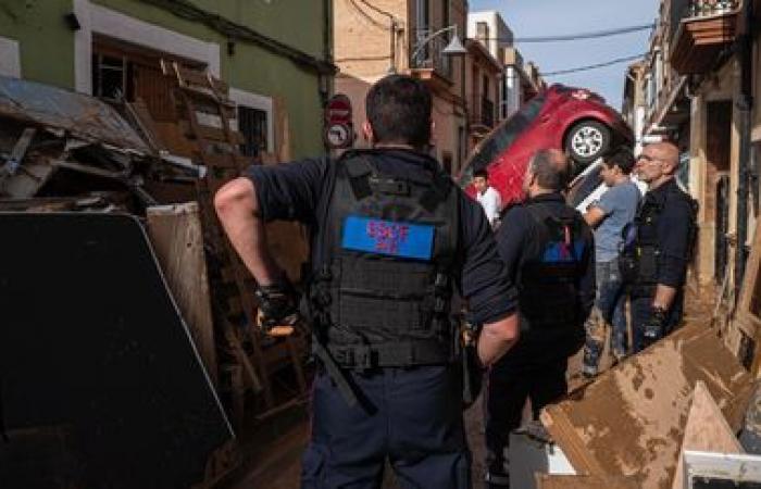 “La situación es tan dramática que el personal no puede hacerle frente”, afirma el responsable de una ONG francesa de extinción de incendios